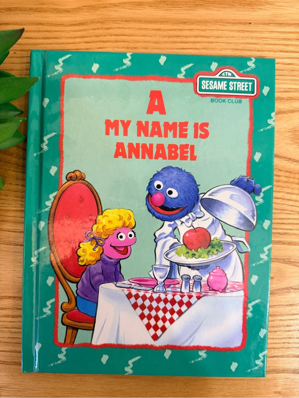 💫10/$25 • Sesame Street A My Name Is Annabel Hardcover Book